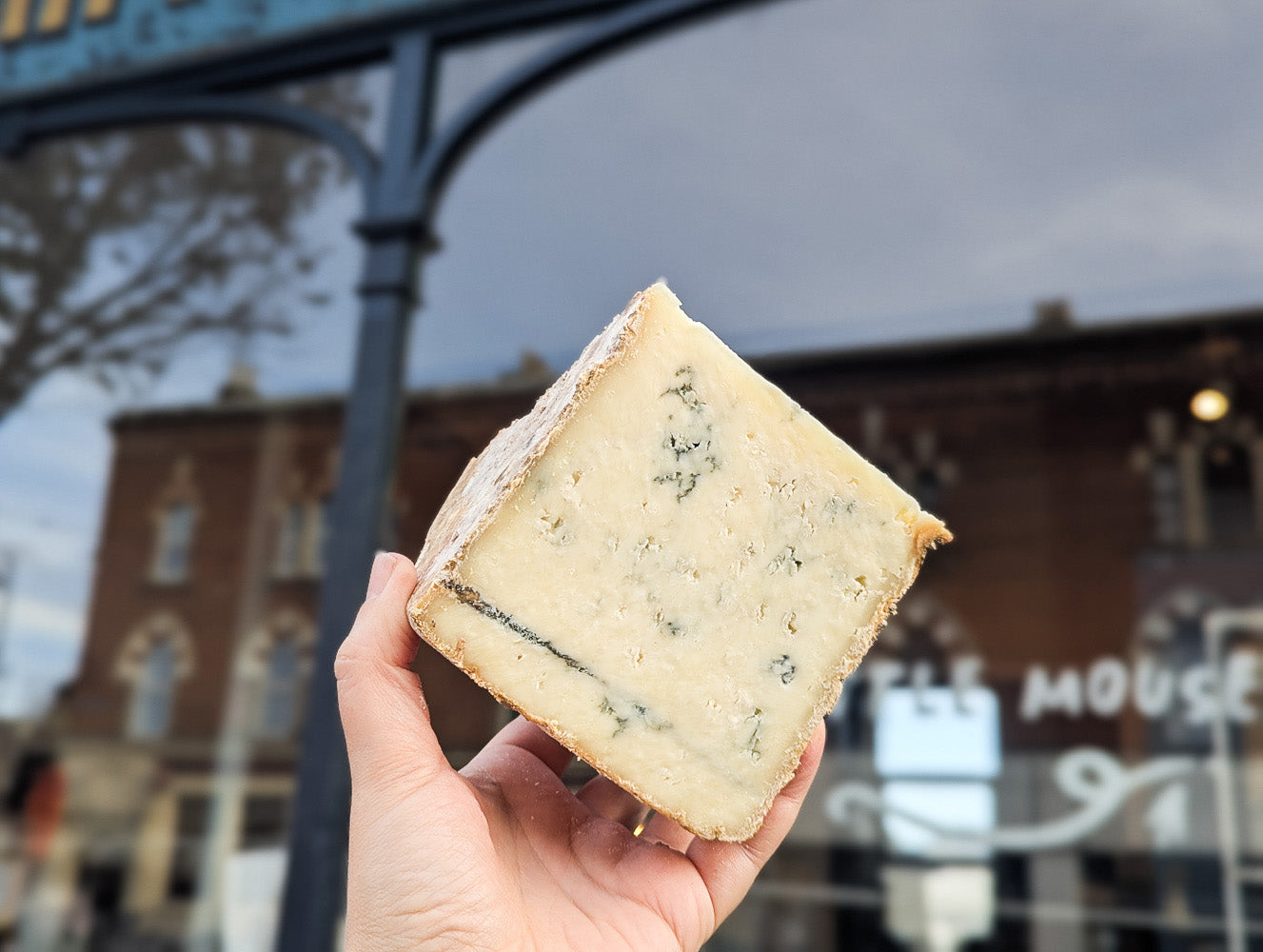 Brunswick Blue - Christmas pre-order