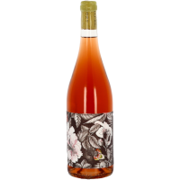 Rosé Wine