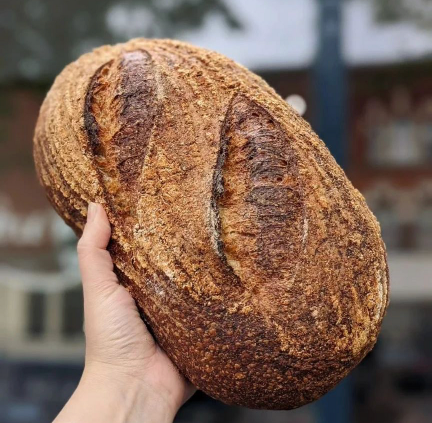 Blackbird Bakery Bread - Christmas Pre-order