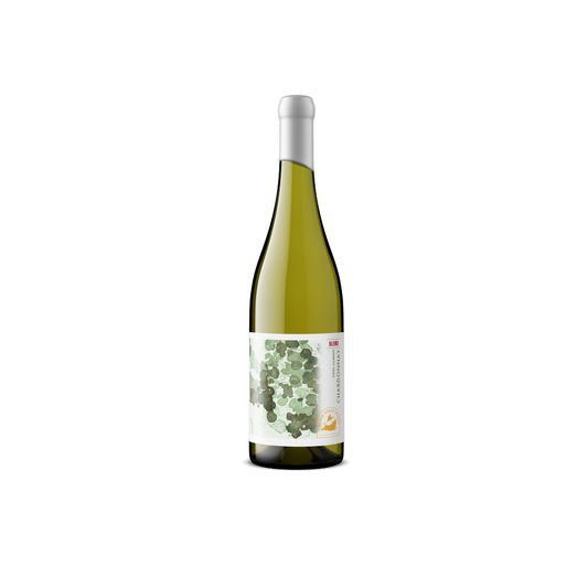 Beare Green Winery Chardonnay Clonal Blend