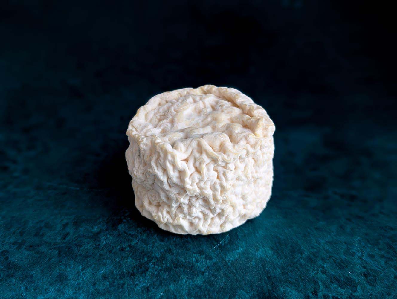 Yr Afr - Christmas pre-order