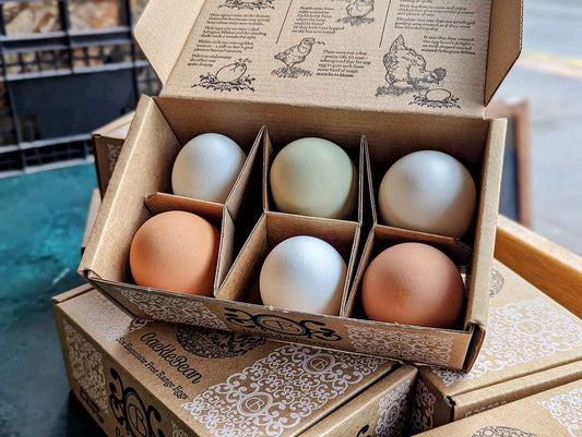 Cacklebean Eggs - Christmas pre-order